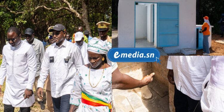 InCollage 20251123 114452195