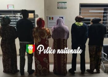 InCollage 20251124 182238796