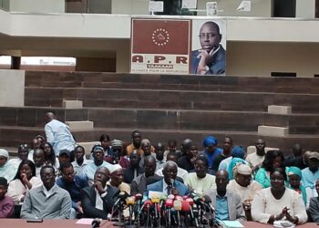 InCollage 20251125 125225547