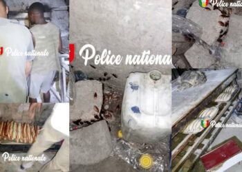 InCollage 20251125 191334327