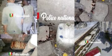 InCollage 20251125 191334327