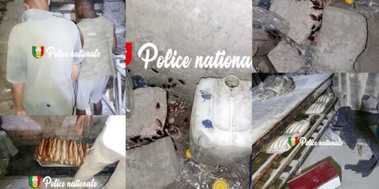 Grand-Yoff : démantèlement d’une boulangerie clandestine dans des conditions d’insalubrité extrême 1 InCollage 20251125 191334327