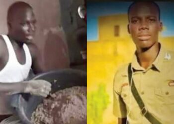 InCollage 20251126 094917377