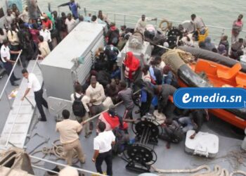 InCollage 20251126 122853152