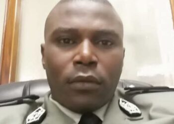 InCollage 20251126 184220062