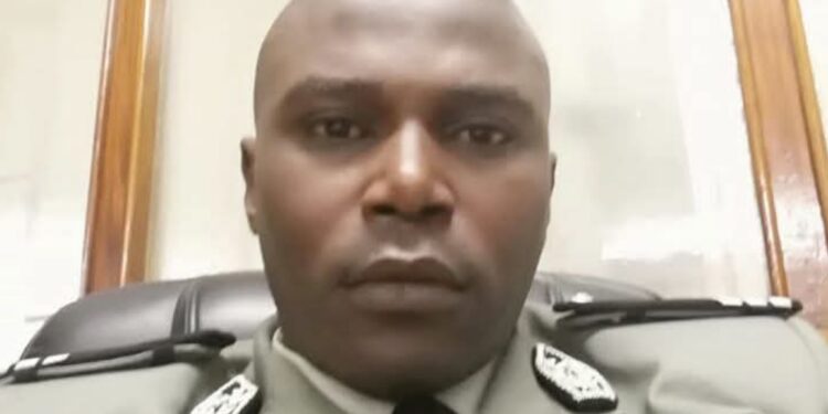 InCollage 20251126 184220062