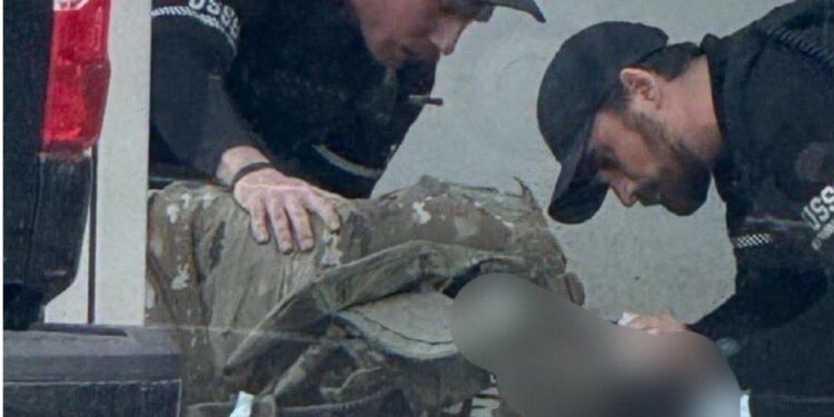 InCollage 20251126 215614516