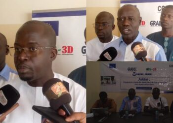 InCollage 20251129 214230779