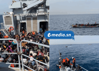 Opération de sauvetage : 238 migrants secourus au large de Dakar 2 20251210 082911 0000