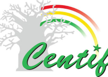 Affaire Centif : le fils de l’ex-Premier ministre Amadou Ba obtient une liberté provisoire contre 550 millions FCFA 2 20251210 151451