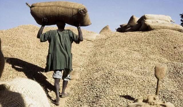 FB IMG 1765196764868