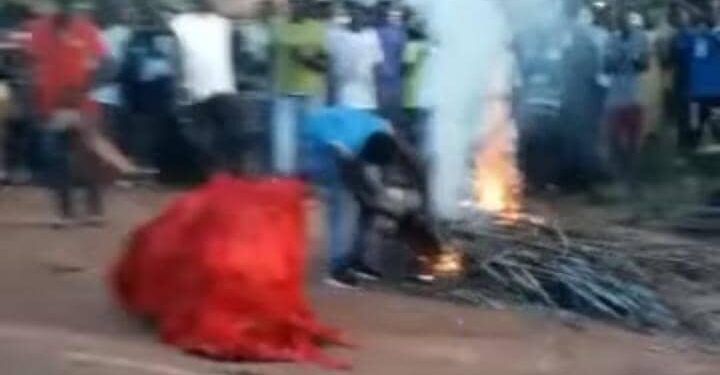 Bignona : un « Fambondi » agresse enseignants et élèves, le G7 décrète 72 heures de grève 1 IMG 20251209 WA0138