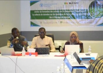 CHANGEMENT CLIMATIQUE : Les acteurs de l’élevage renforcent leurs capacités à Saly 4 IMG 20251212 WA0054