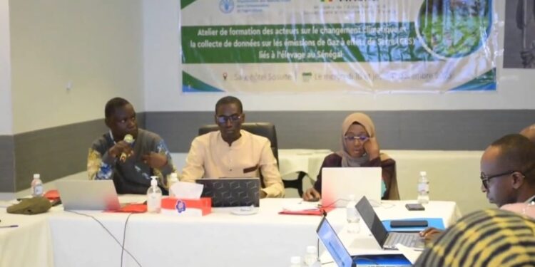 CHANGEMENT CLIMATIQUE : Les acteurs de l’élevage renforcent leurs capacités à Saly 1 IMG 20251212 WA0054