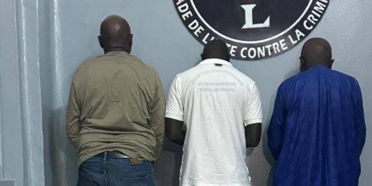 InCollage 20251202 090342558