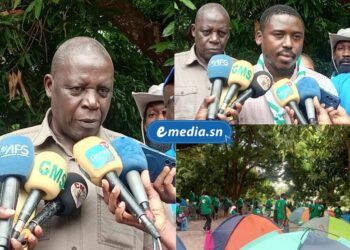 InCollage 20251203 111131777