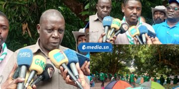 Thionck-Essyl accueille 250 jeunes d’Afrique de l’Ouest pour un camp international dédié à l’agroécologie 4 InCollage 20251203 111131777