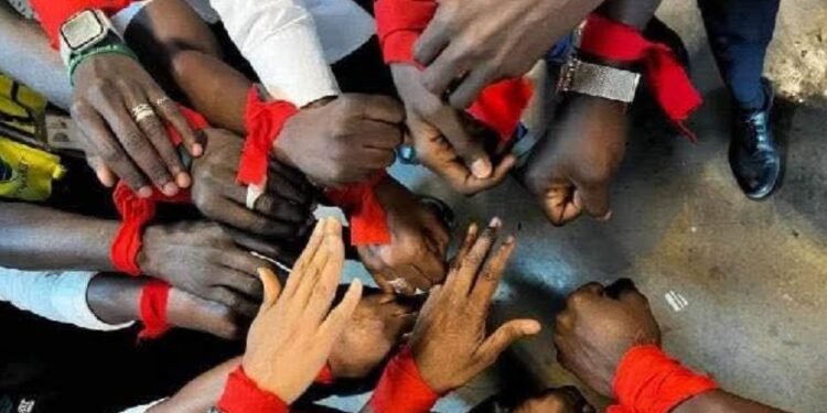 InCollage 20251203 145441148