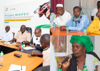 Déploiement du projet WAPEC : Koungheul lance officiellement le waqf agricole dédié à l’élevage caprin 2 InCollage 20251204 094056069
