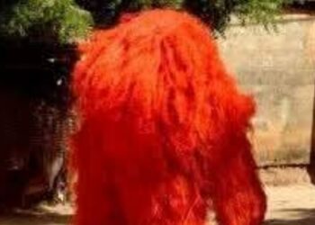 Bignona : un « Fambondi » agresse enseignants et élèves, le G7 décrète 72 heures de grève 2 InCollage 20251209 201634790