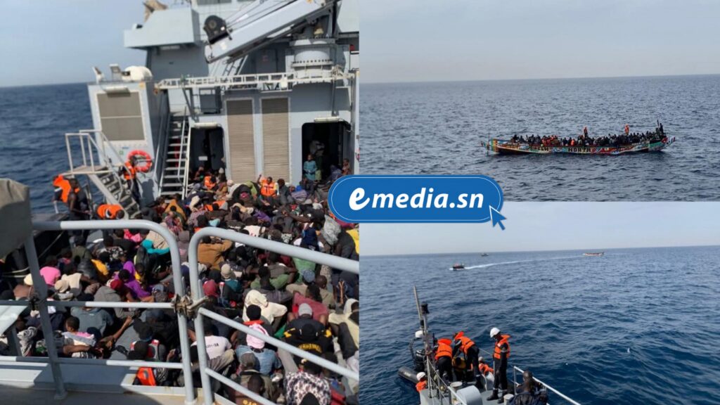 Opération de sauvetage : 238 migrants secourus au large de Dakar - EmediaSN