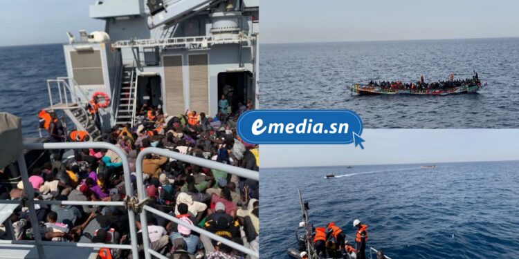 InCollage 20251210 084724033