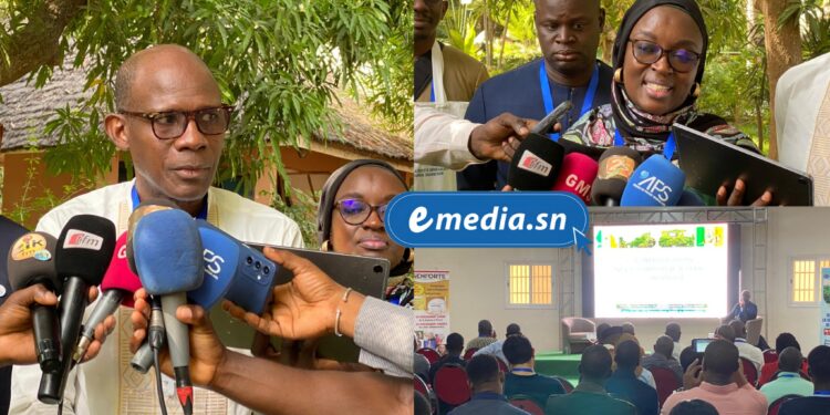 Ziguinchor : les neurochirurgiens appellent à combler le déficit de spécialistes et d’infrastructures 1 InCollage 20251212 130417865