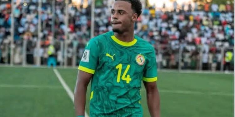 Ilay Camara, le choix de la sécurité et de la polyvalence de Pape Thiaw 1 InCollage 20251213 122131136