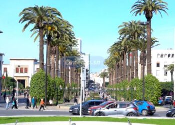 InCollage 20251219 131405196