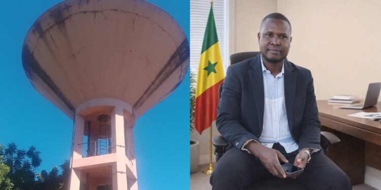 InCollage 20251226 104336428