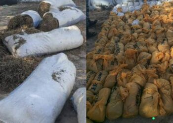 InCollage 20251229 104127215