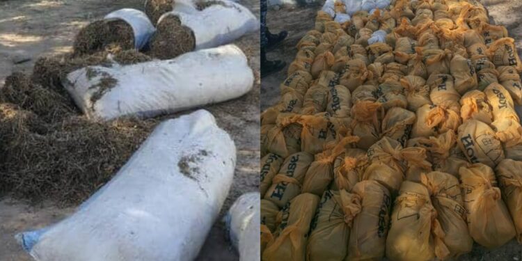 InCollage 20251229 104127215