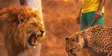 InCollage 20251230 104249006