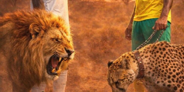 SENEGAL-BENIN : DUEL DE FÉLINS DANS L’UEMOA PAR LE PROF ABOU KANE 1 InCollage 20251230 104249006