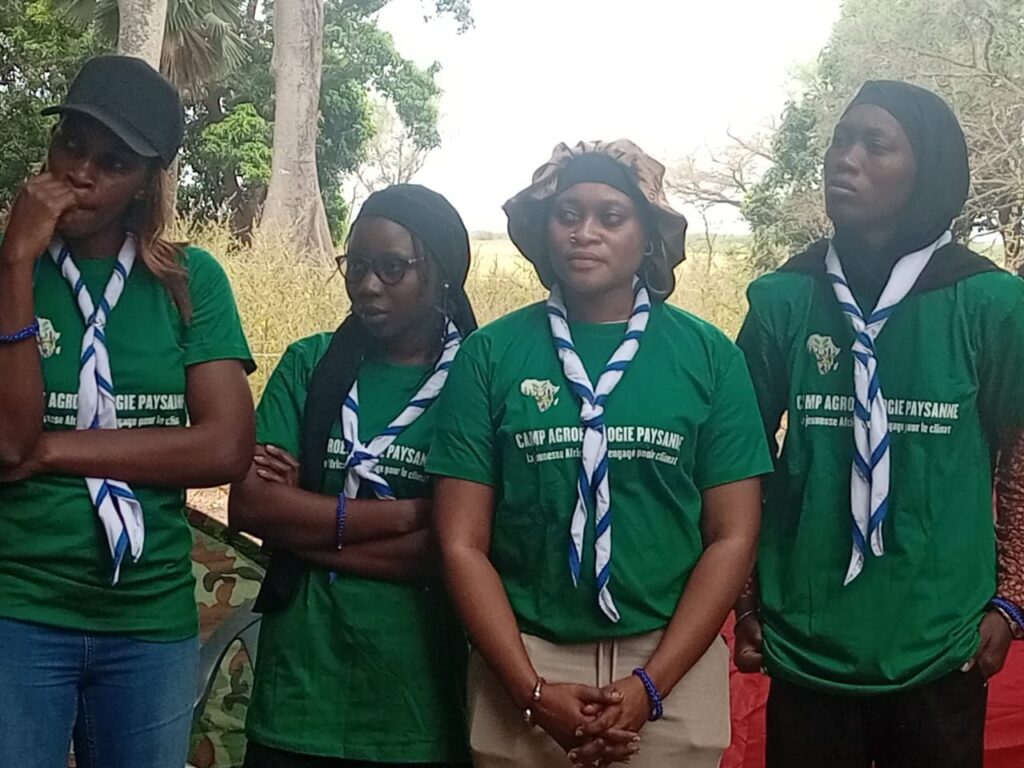 img 20251202 wa00693089701062424220242