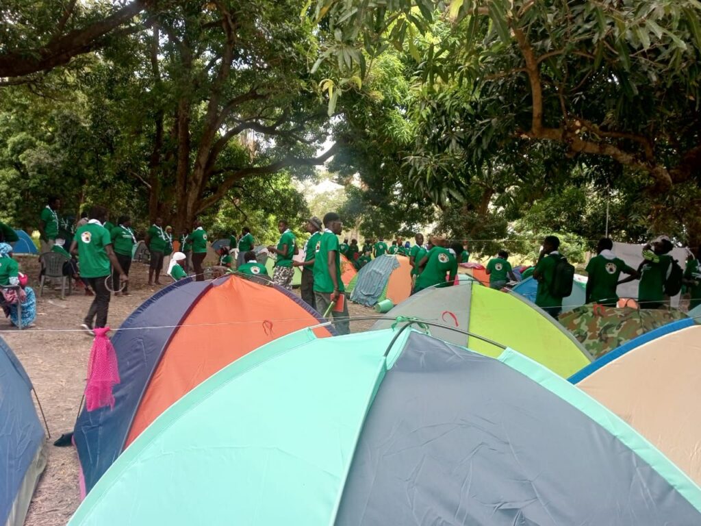 img 20251202 wa00702460321643545349303