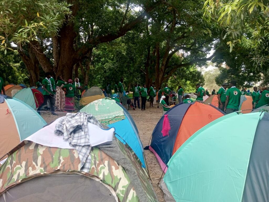 img 20251202 wa00717078544201118510568