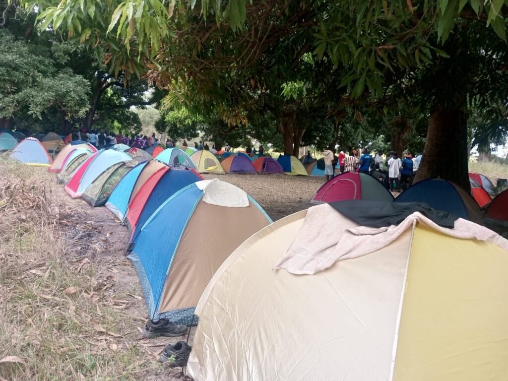 img 20251202 wa00786659409726510029699