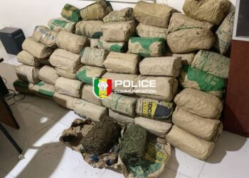 Mbour : 120 kilos de chanvre indien saisis à la plage de Mballing 2 FB IMG 1769882730481