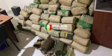 FB IMG 1769882730481