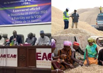 InCollage 20260112 084955338