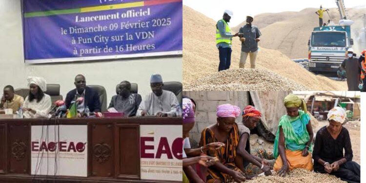 Campagne arachidière : le FDR alerte sur une crise majeure et des chiffres préoccupants 1 InCollage 20260112 084955338