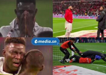 InCollage 20260123 115223628