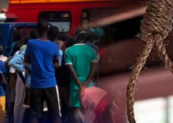 InCollage 20260129 172817383