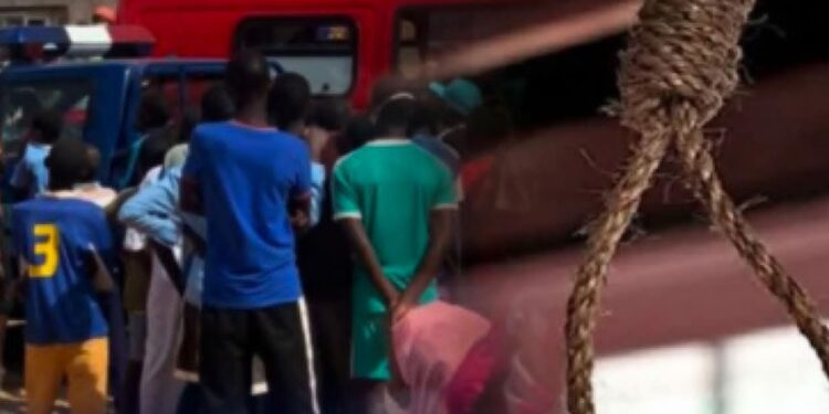 InCollage 20260129 172817383