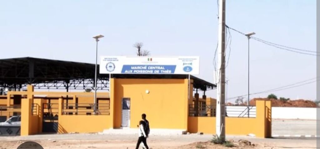 Gestion du nouveau marché au poisson de Thiès : les précisions du maire de la ville. 2 img 20260121 wa04346312317636846122337