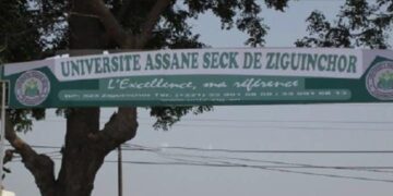 IMG 20260209 WA1375 1