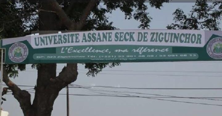 IMG 20260209 WA1375 1