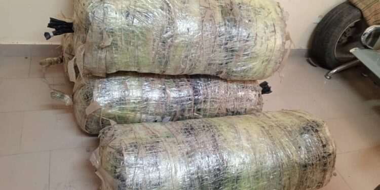 Saisie de 134,4 kg de chanvre indien à Ndioukh Fissel : trois individus arrêtés par la BRS de Mbour 1 IMG 20260214 WA0516