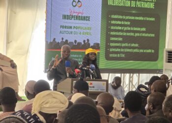 IMG 20260221 WA03601